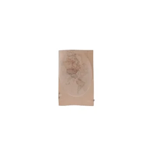 Alviero Martini Prima Classe Sciarpa 150x48 cm Donna S637 1840